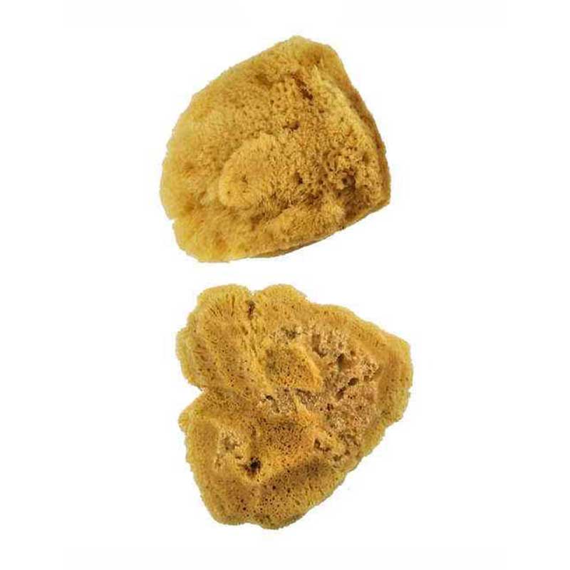 Set bureti naturali, Royal Brush, Silk Sponge, 2PACK