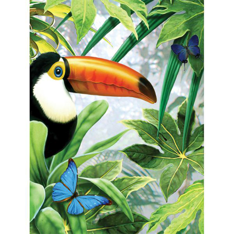 PJS53 - Jungle Toucan