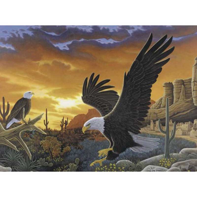 Set pictura pe numere, Royal Langnickel, 40 - Sky Messenger