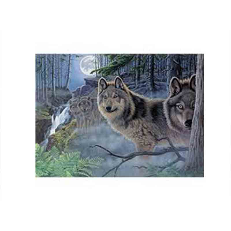 Set-pictura-pe-numere-adulti,-Royal-Langnickel,-39---Mystical-Moonlight-1