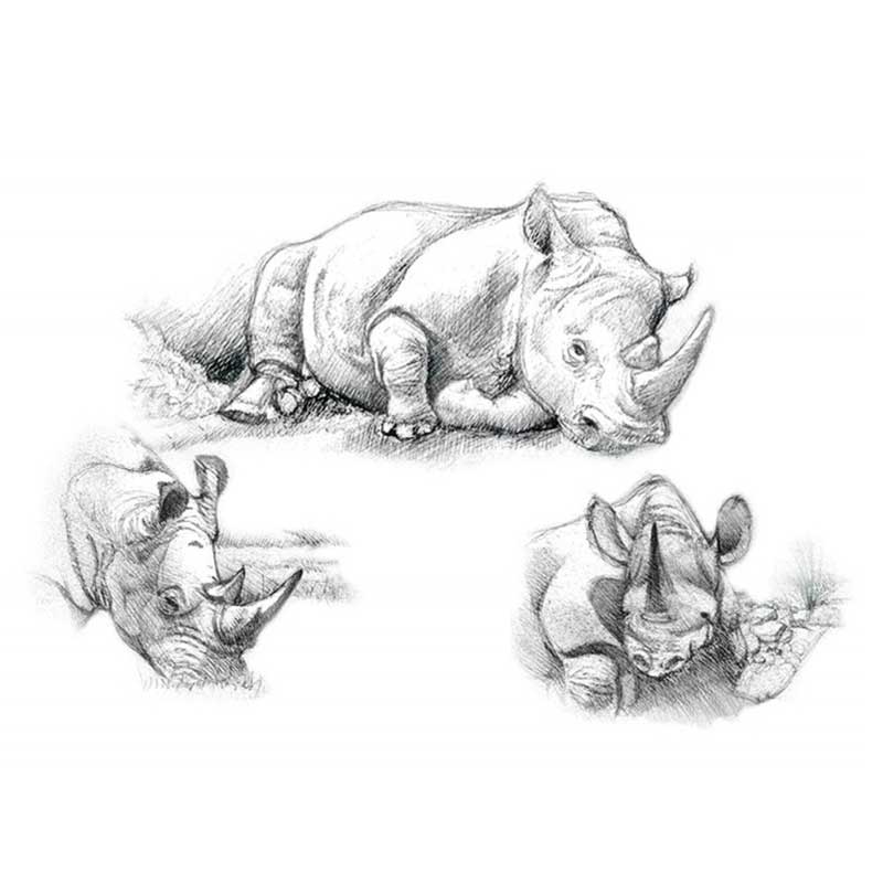 Set-schite-Royal-and-Langnickel-3-–-Rhinos