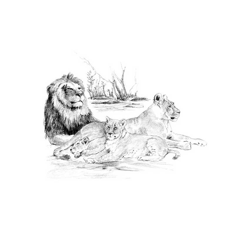 Set-schite-Royal-and-Langnickel-6-–-Lion-Pride