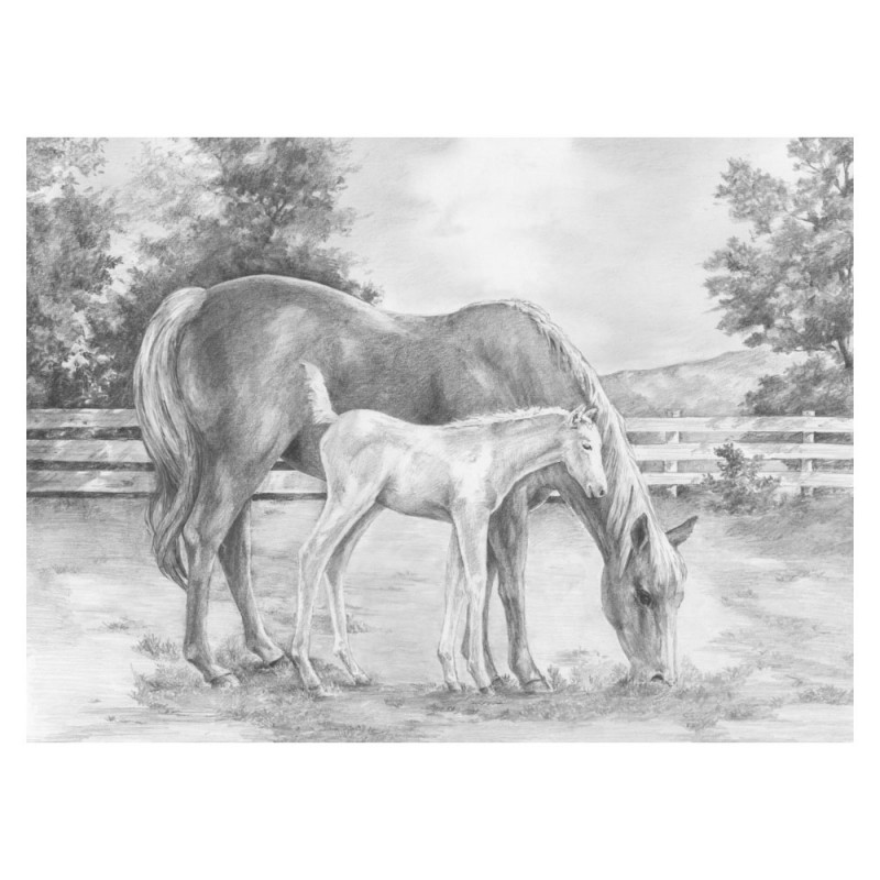 Set schite Royal and Langnickel 8 – Horse & Colt
