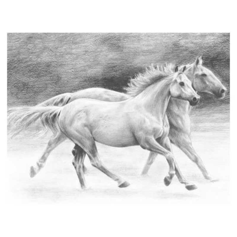 Set-schite,-Royal-Langnickel,-20-–-Running-Free